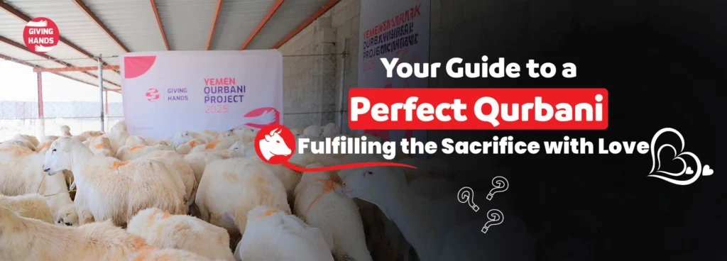 Your Guide to a Perfect Qurbani: Fulfilling the Sacrifice with Love