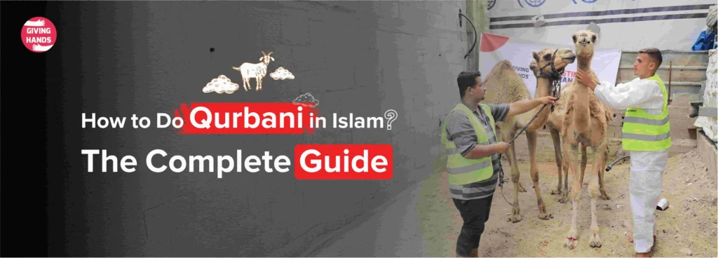 How to Do Qurbani in Islam: Honor the Sunnah and Feed a Family