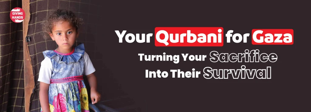 Your Qurbani for Gaza: Turning Your Sacrifice Into Their Survival