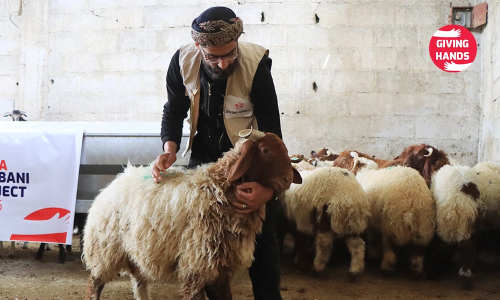 What Are Qurbani Rules in the UK? A Simple Guide to Giving Right 2 Checking the Animal for Physical Defects