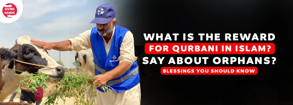 What Is the Reward for Qurbani? Blessings of Feeding the Poor