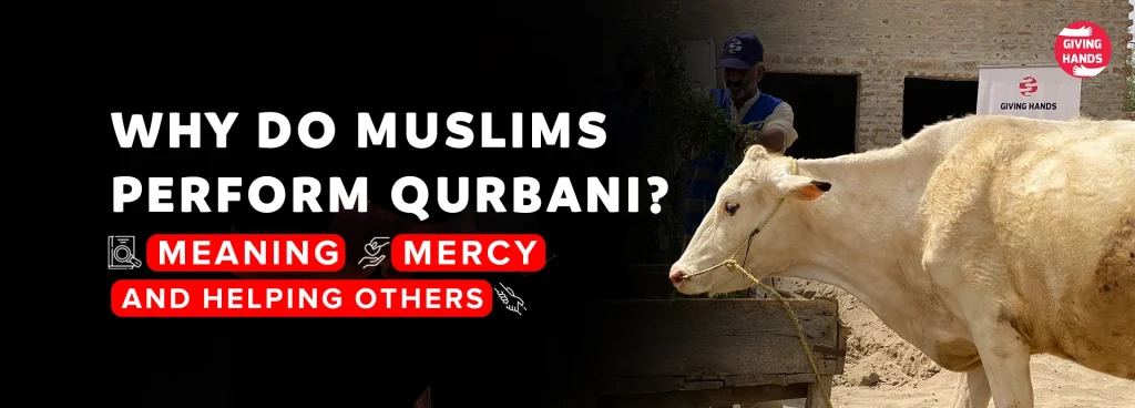 Why Do Muslims Perform Qurbani? Meaning, Mercy, and Helping Others